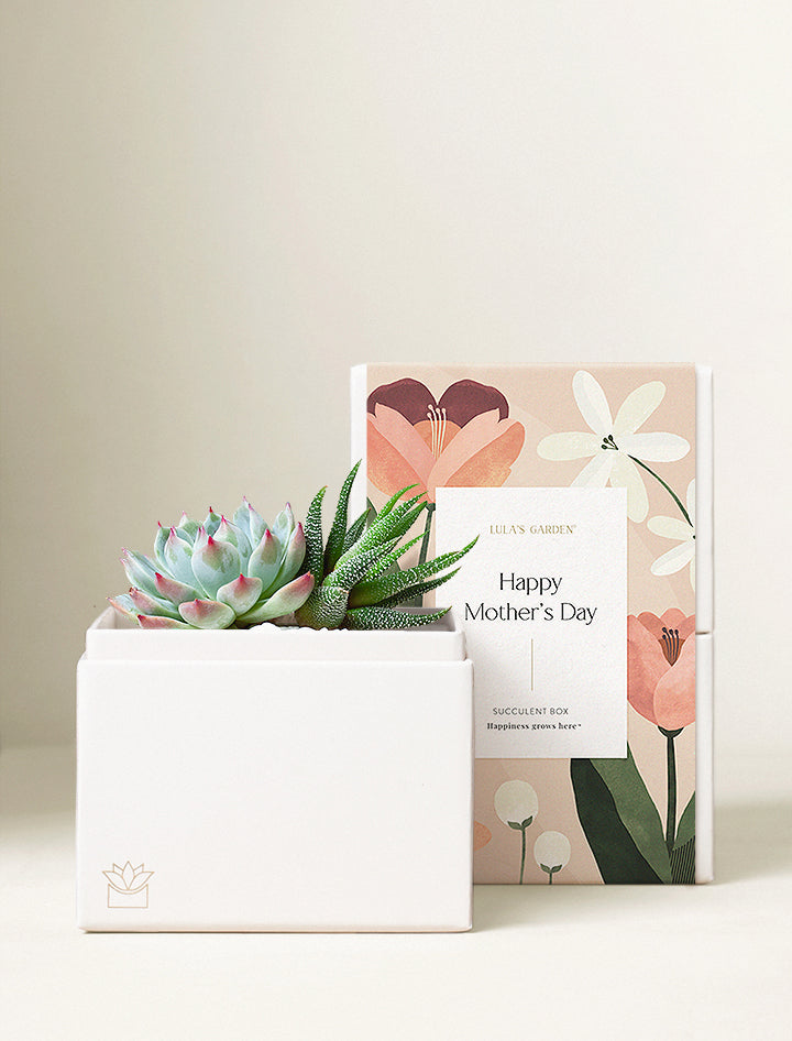 Garden Demo Product